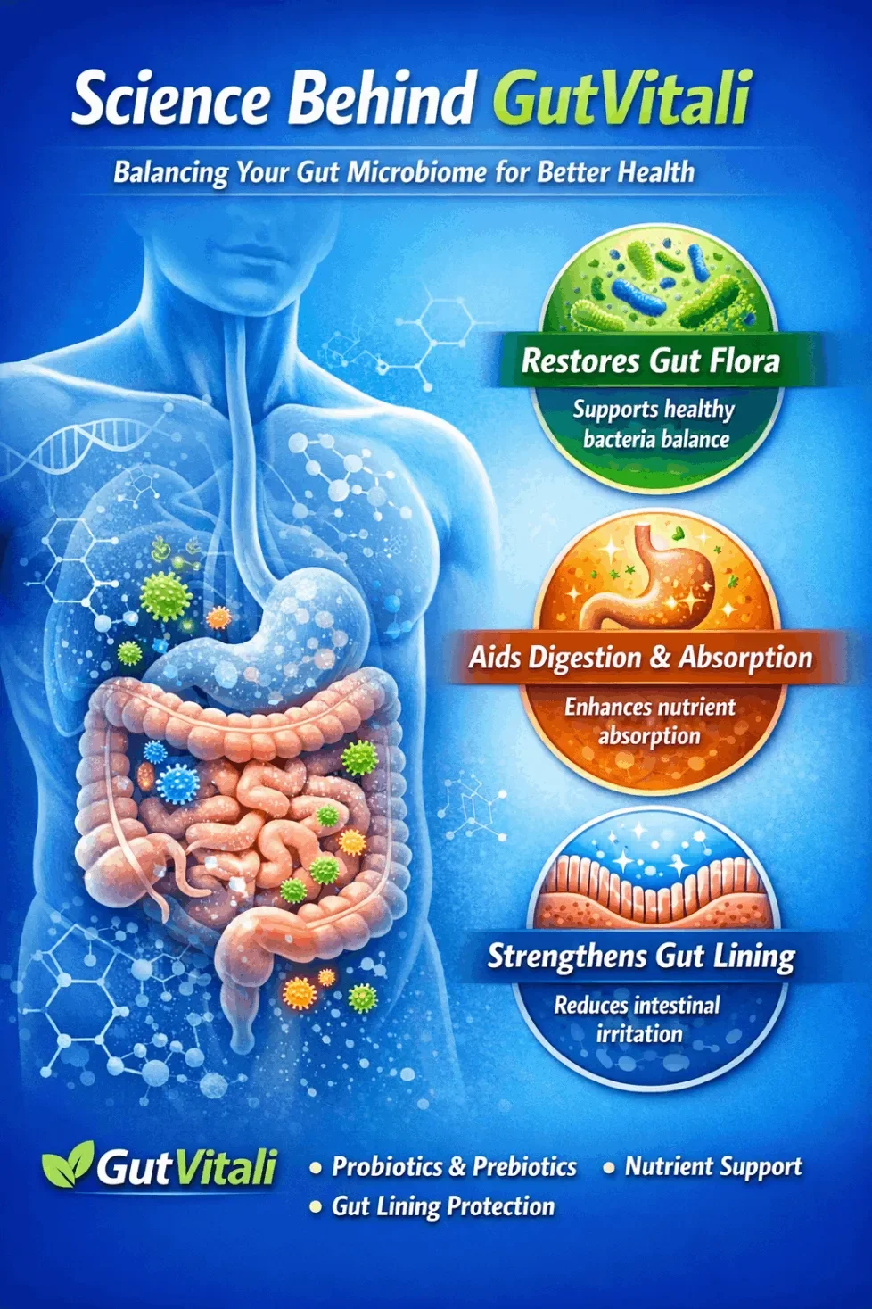 Science Behind GutVitali